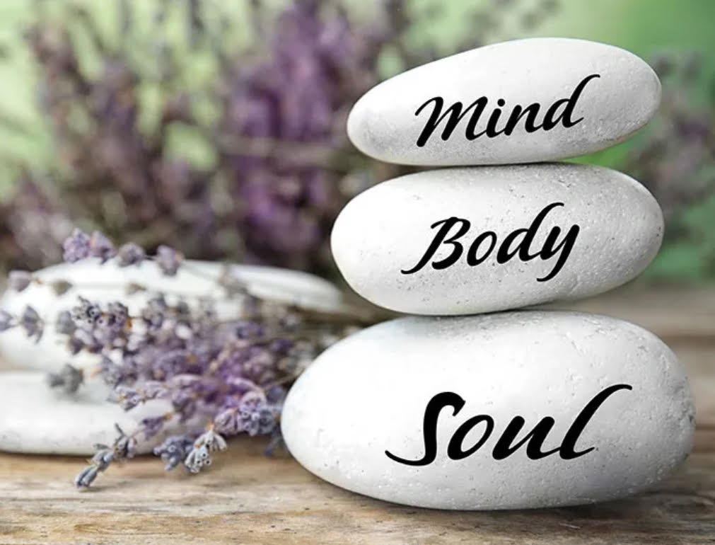 Holistic Wellness & Counseling, LLC